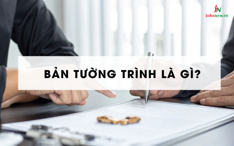 Bản tường trình là gì?