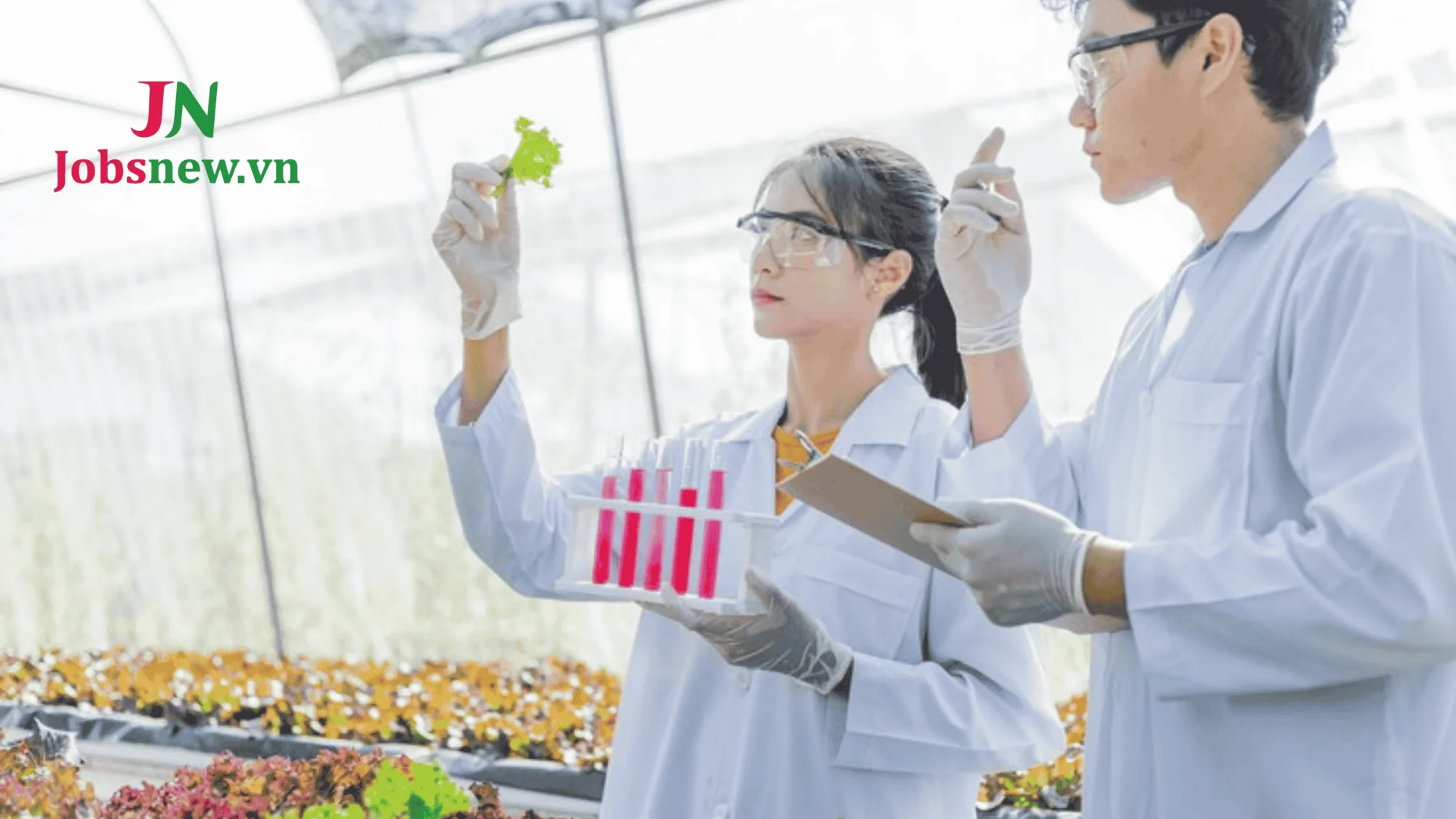 Giải Đáp Câu Hỏi - Ngành Công Nghệ Thực Phẩm Có Dễ Xin Việc Không? Các công ty, tập đoàn tuyển dụng ngành CNTP