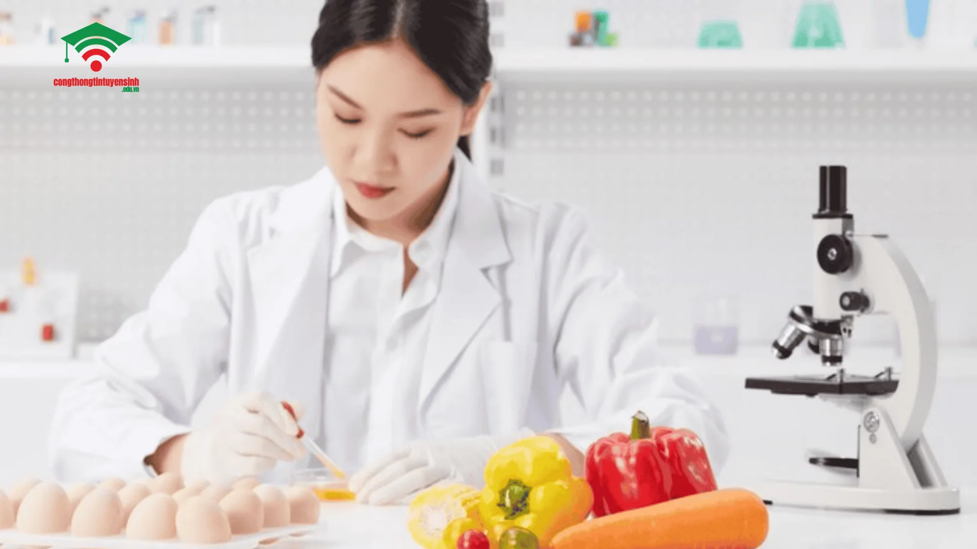 Giải Đáp Câu Hỏi - Ngành Công Nghệ Thực Phẩm Có Dễ Xin Việc Không? Tình hình thị trường lao động ngành CNTP hiện nay