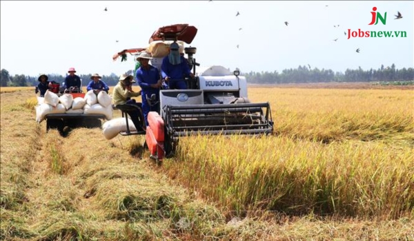 Dầu khí Việt Nam cung cấp các loại nhiên liệu cho nông nghiệp