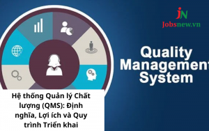 Hệ thống Quản lý Chất lượng (QMS): Định nghĩa, Lợi ích và Quy trình Triển khai