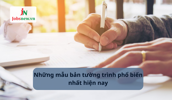 mẫu bản tường trình