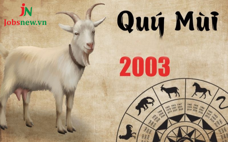 nữ 2003 hợp với tuổi nào