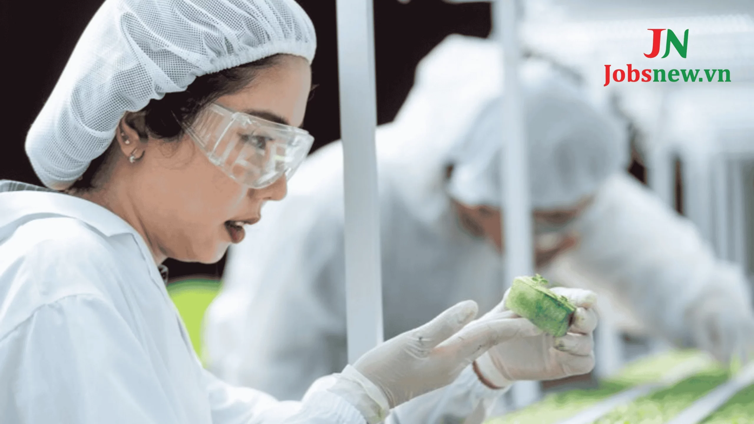 Top 05 Công Nghệ Chế Biến Thực Phẩm Được Sử Dụng Nhiều Nhất Hiện Nay! Tổng quan về công nghệ chế biến thực phẩm