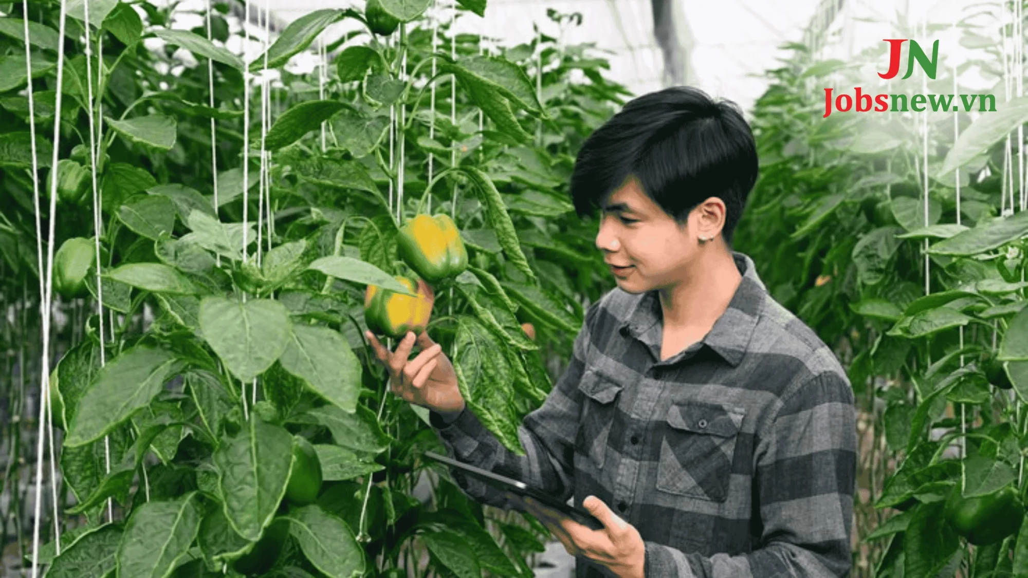 Top 05 Công Nghệ Chế Biến Thực Phẩm Được Sử Dụng Nhiều Nhất Hiện Nay! Ứng dụng rộng rãi của công nghệ chế biến thực phẩm trong công nghiệp