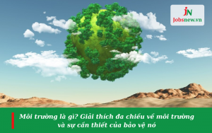 môi trường là gì, suy thoái môi trường là gì, môi trường là gì có mấy loại môi trường, nhân tố sinh thái của môi trường là gì, pháp luật về bảo vệ môi trường là gì