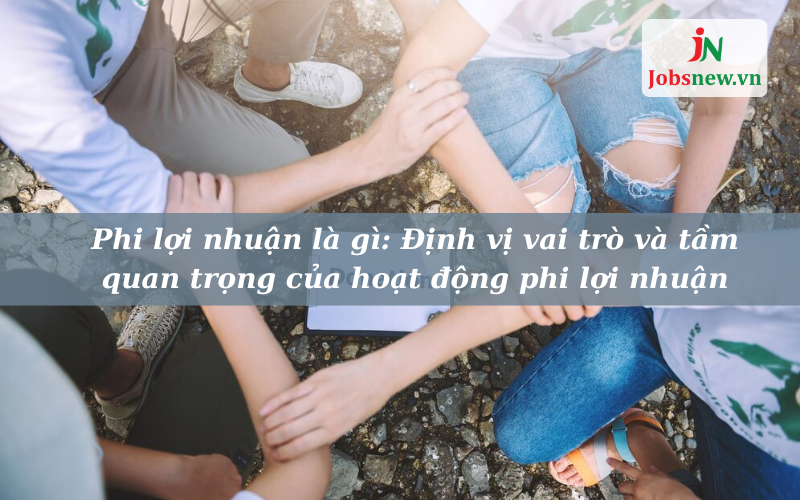 phi lợi nhuận là gì, phi lợi nhuận tiếng anh là gì, npo là gì, non profit là gì, tổ chức phi lợi nhuận có cần quản trị không