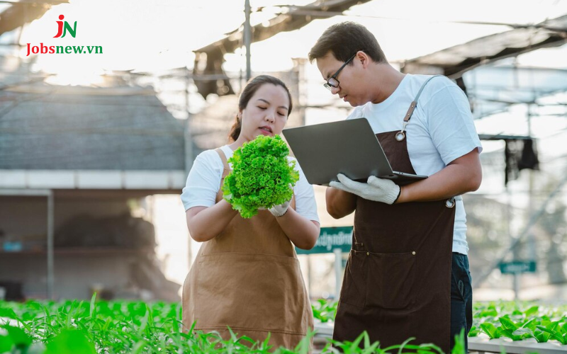 kỹ thuật thực phẩm, kỹ thuật thực phẩm bách khoa, đồ án kỹ thuật thực phẩm, kỹ thuật thực phẩm học trường nào, lương ngành kỹ thuật thực phẩm