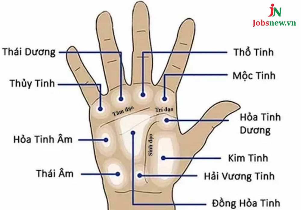 nốt ruồi trong lòng bàn tay