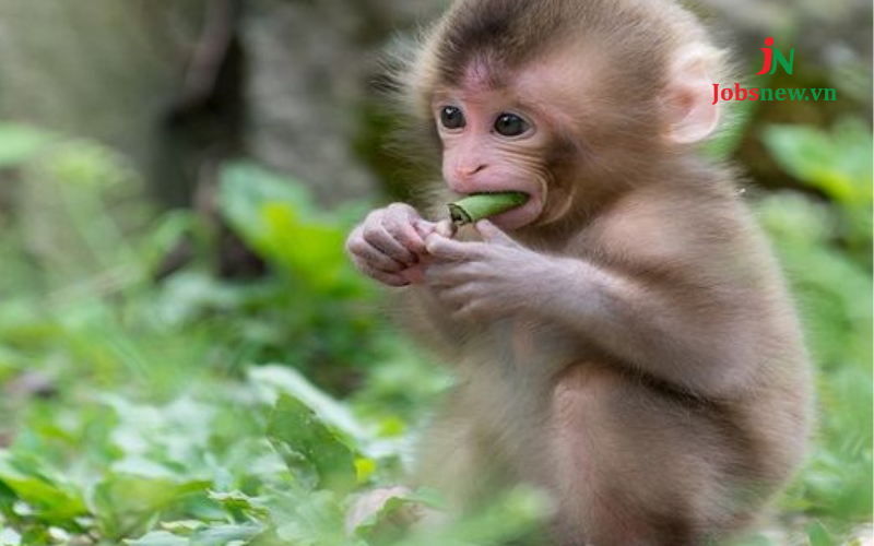 tuổi thân sinh năm bao nhiêu