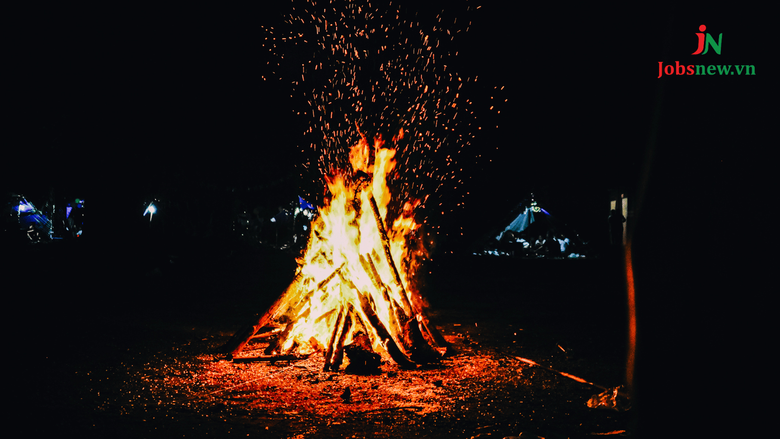 2009 là năm con gì