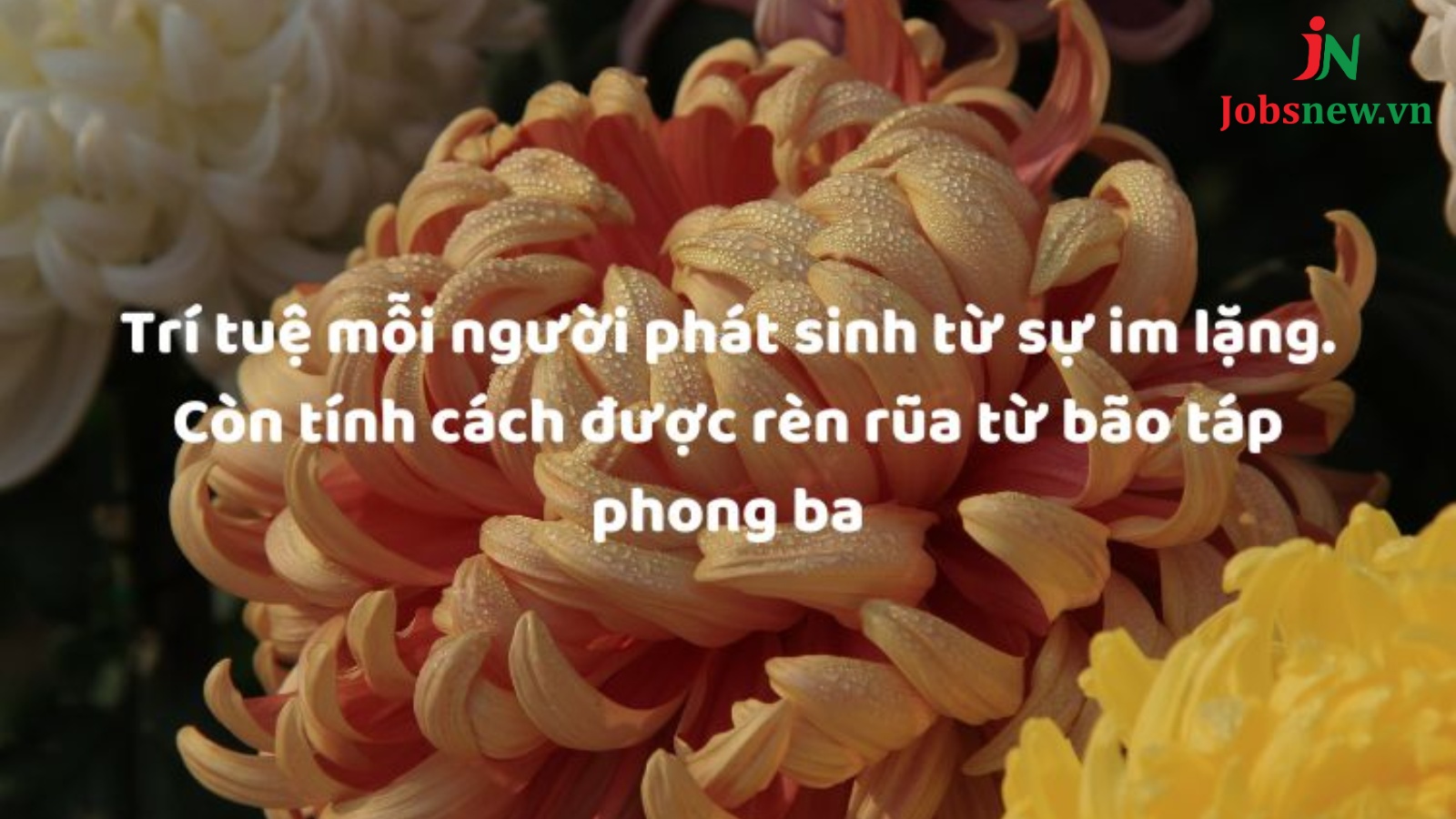 Cap hay về cuộc sống vui vẻ cho facebook