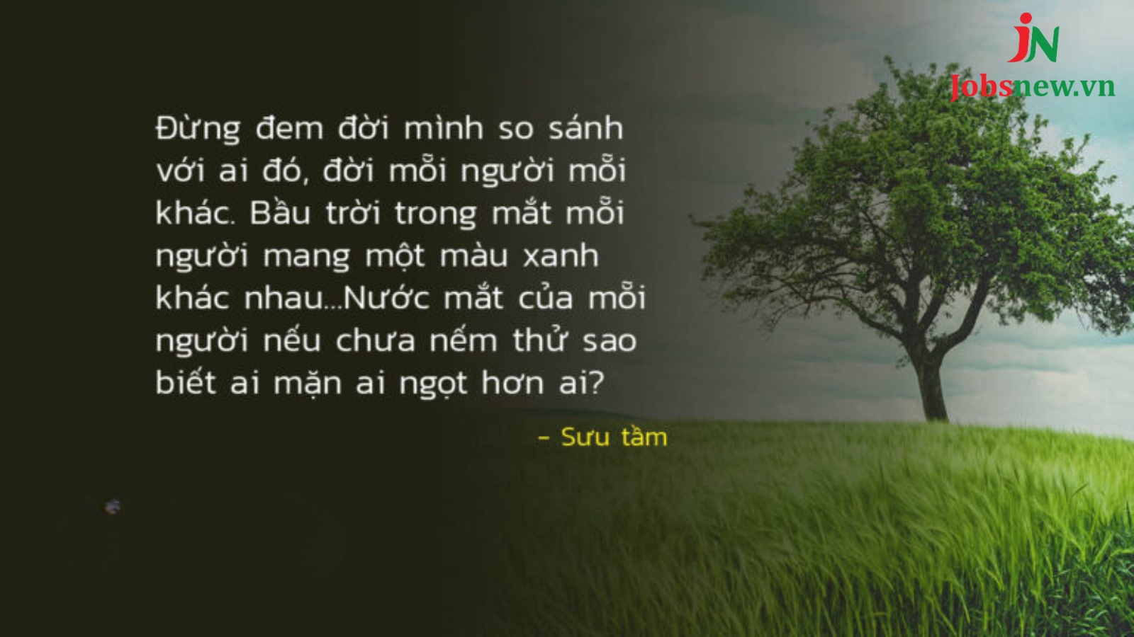 Cap nhẹ nhàng suy ngẫm sâu sắc qua