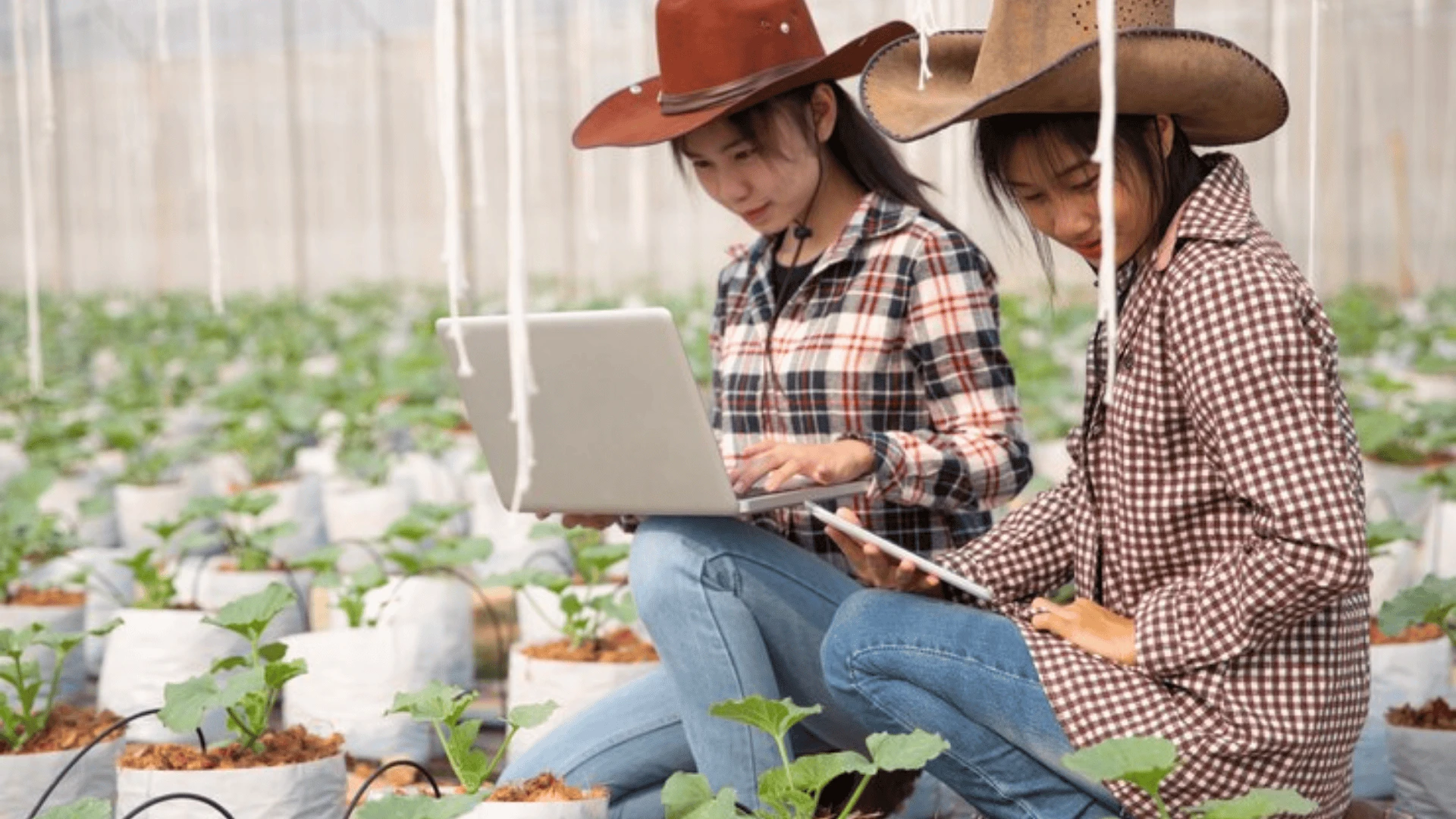 Kỹ Sư Nông Nghiệp Là Gì? Top 10 Vị Trí Công Việc Kỹ Sư Nông Nghiệp Phổ Biến Hiện Nay! Các trường đào tạo kỹ sư nông nghiệp