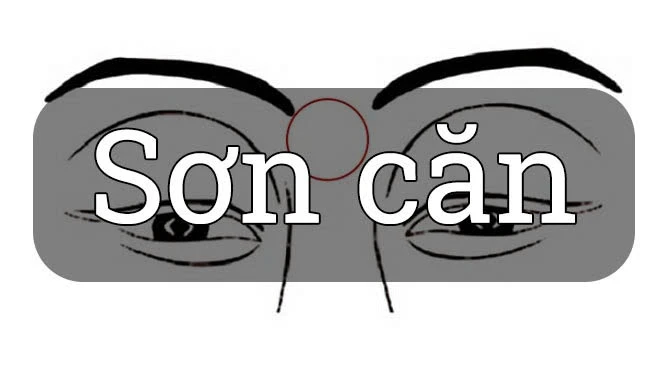 Tầm quan trọng của sơn căn là gì?