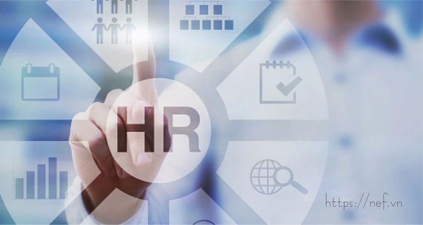 HR Là Làm Gì? Top 07 Bí Mật Về Nghề HR Mà Bạn Cần Nên Biết! Kỹ năng "bắt buộc" để thành công trong nghề HR