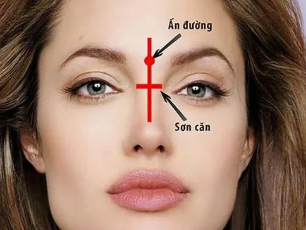 Sơn Căn Là Gì? Giải Mã Bí Ẩn 5 Điều Bí Mật (2024)