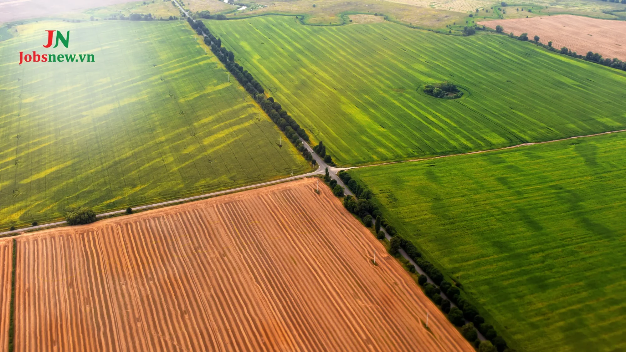 Bất động sản nông nghiệp (Agricultural)