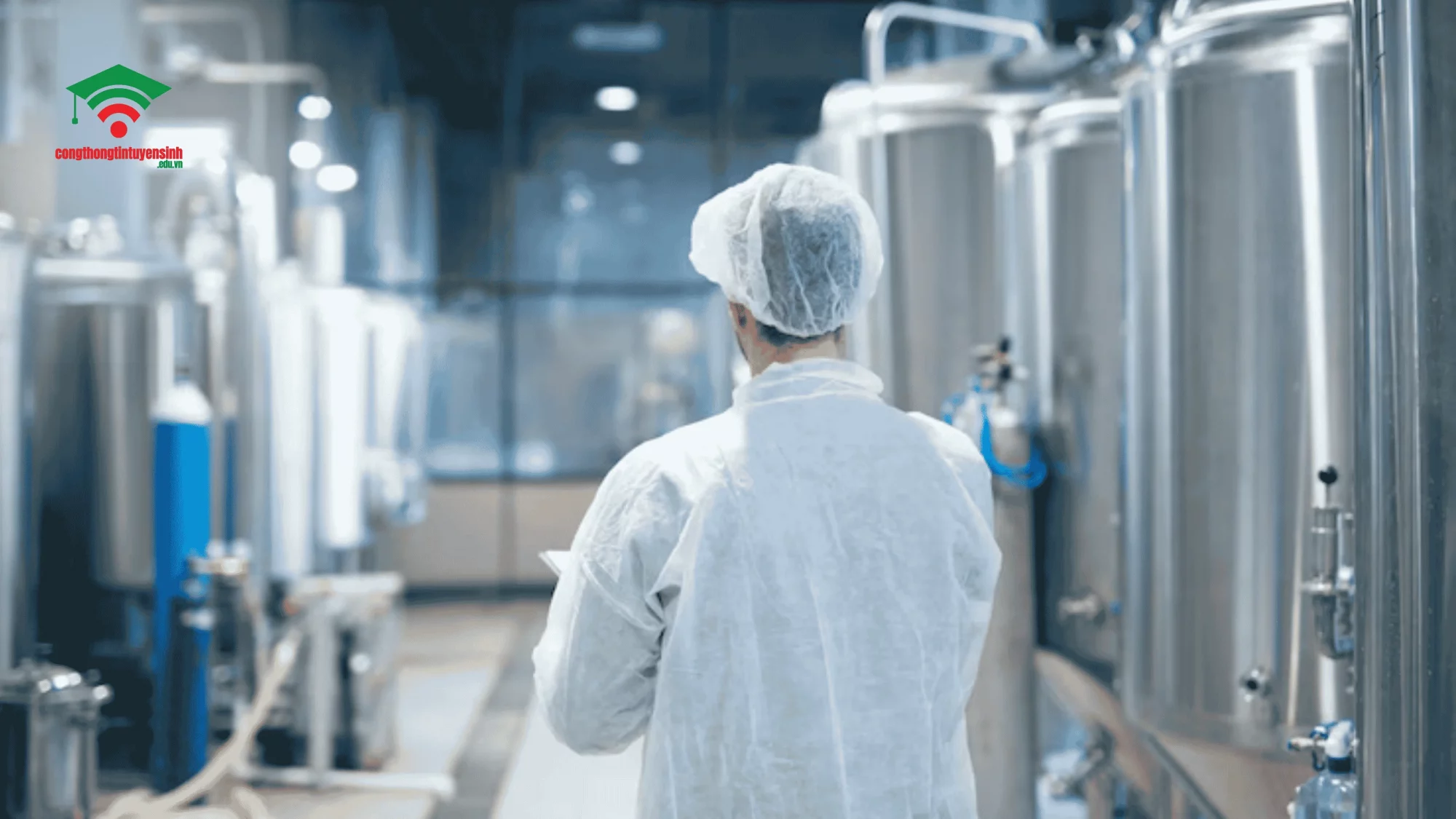 Kỹ Sư Công Nghệ Thực Phẩm Năm 2025: Học Gì, Làm Gì Và Có Mức Lương Bao Nhiêu? Kỹ sư Công nghệ thực phẩm