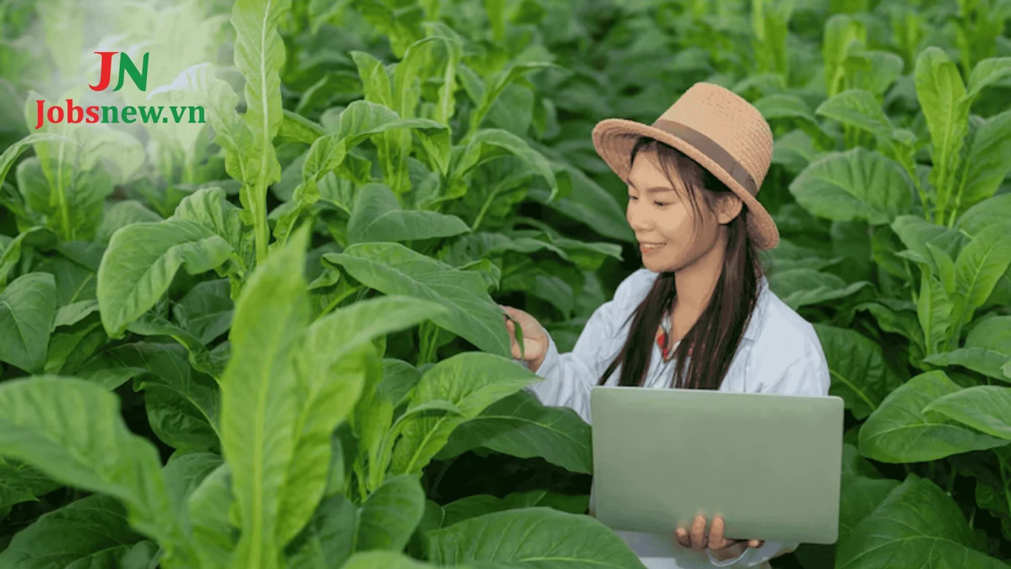 Việc Làm Công Nghệ Thực Phẩm: 06 Vị Trí "Hái Ra Tiền" Với Mức Lương Đỉnh! Thắc mắc liên quan đến việc làm công nghệ thực phẩm