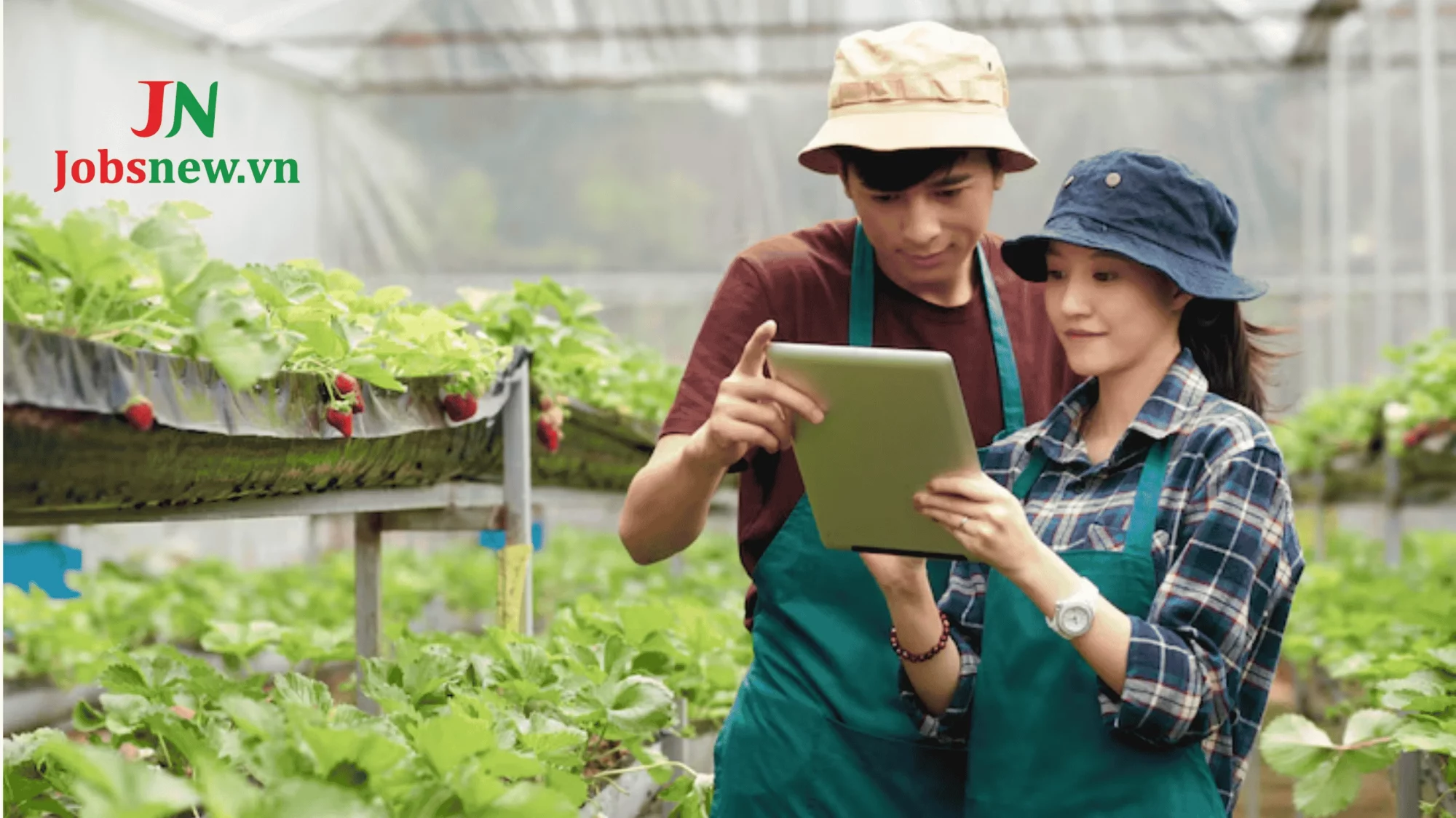 Việc Làm Công Nghệ Thực Phẩm: 06 Vị Trí "Hái Ra Tiền" Với Mức Lương Đỉnh! Tổng quan về ngành công nghệ thực phẩm và thị trường việc làm
