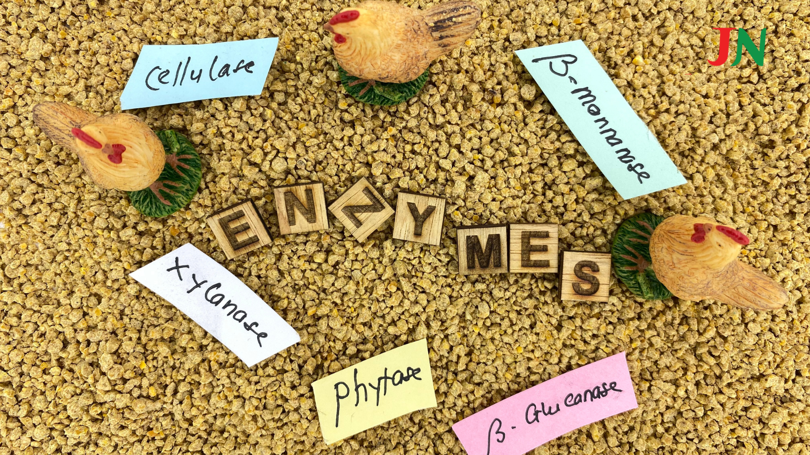 Enzyme là gì? 06 ứng dụng enzyme trong công nghệ thực phẩm hiện nay ANH WEB TS HUTECH 2025 12 20T093031.676