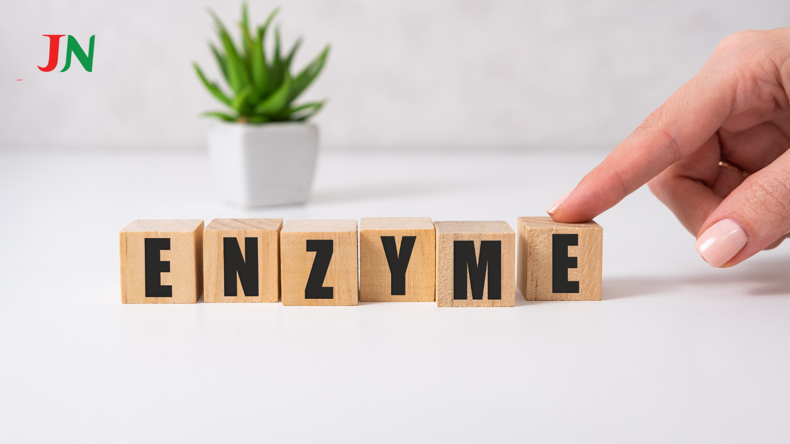 ẢNH WEB TS HUTECH - 2025-12-20T092757.251