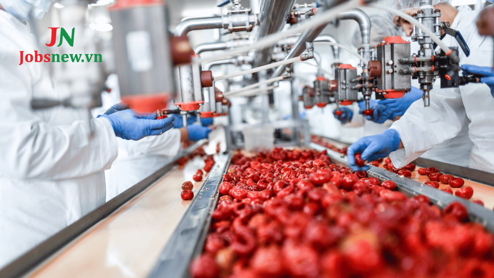 Khái niệm chế biến thực phẩm theo luật định Việt Nam