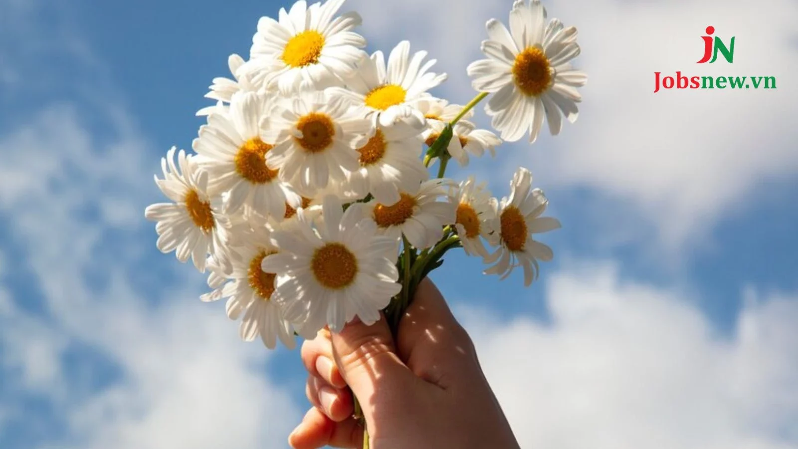 những câu nói hay