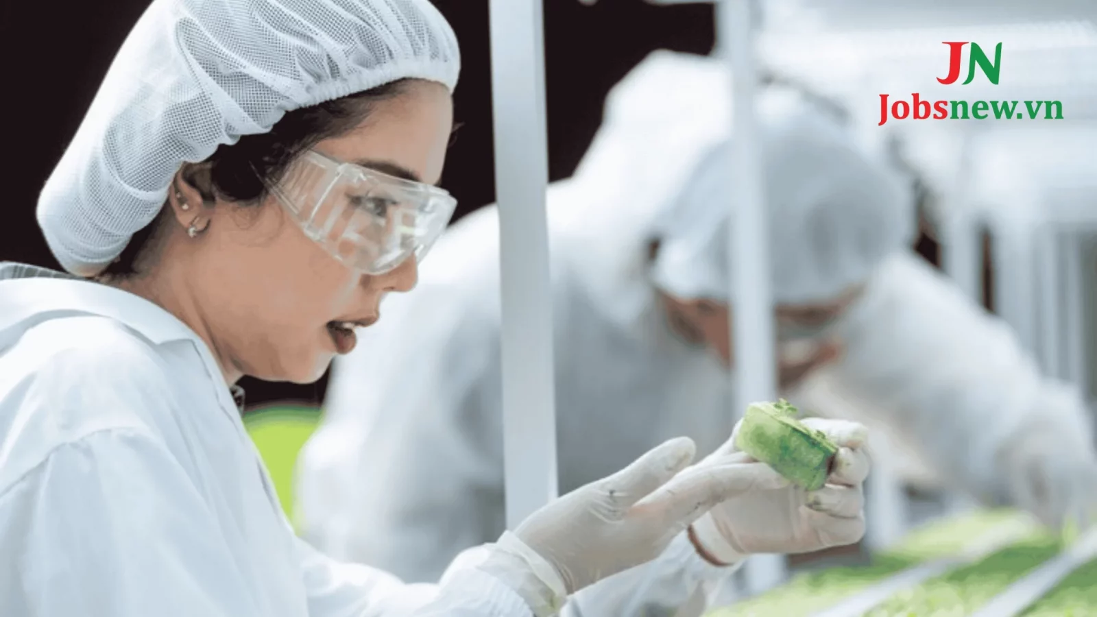 Tổng quan về công nghệ chế biến thực phẩm