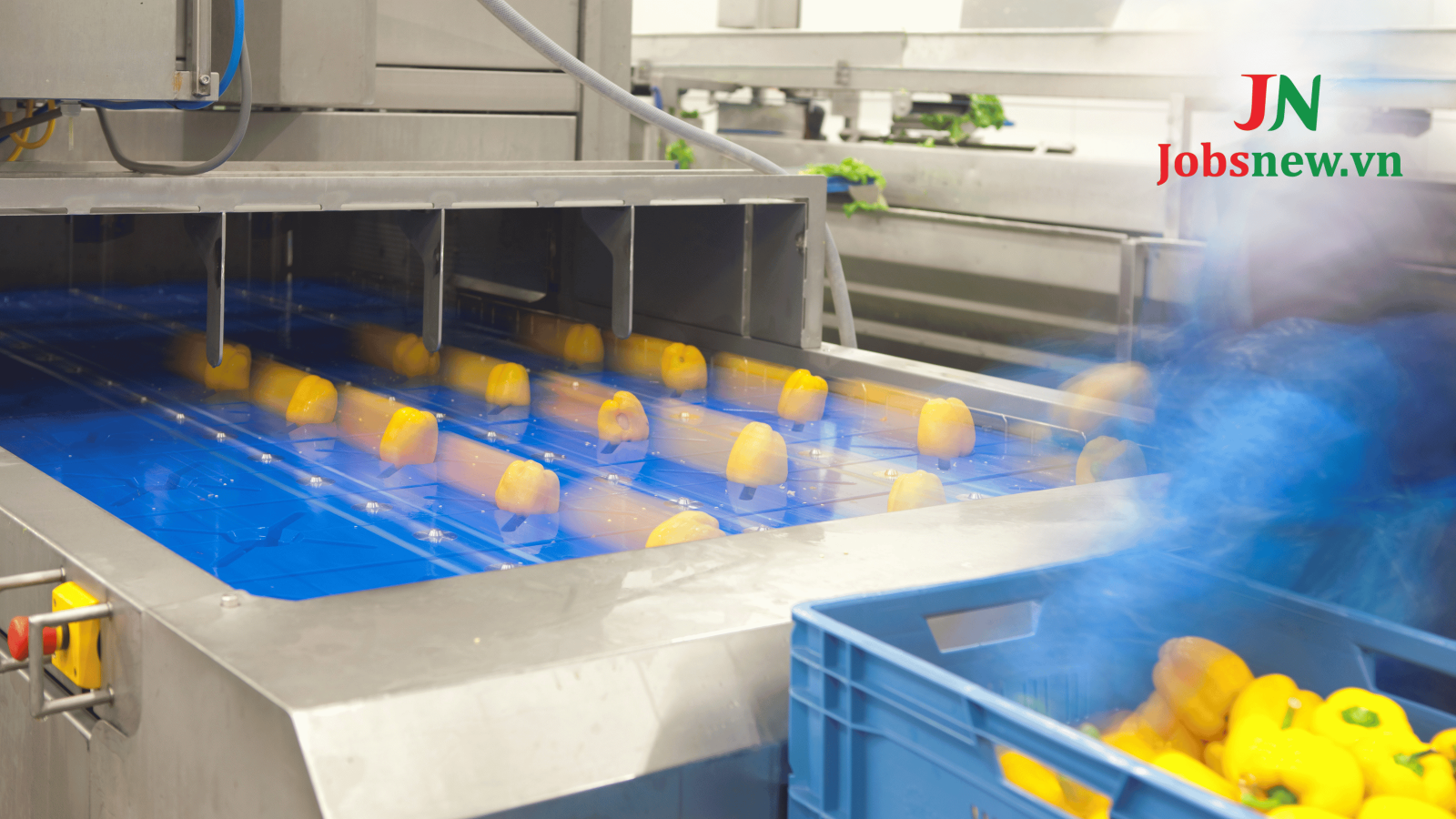 Tổng quan về ngành thực phẩm tại Nhật