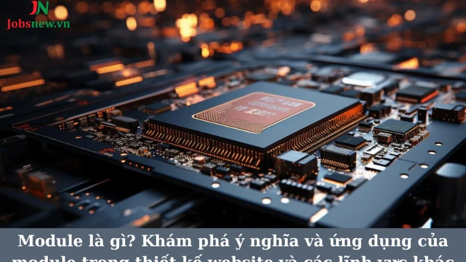 module là gì