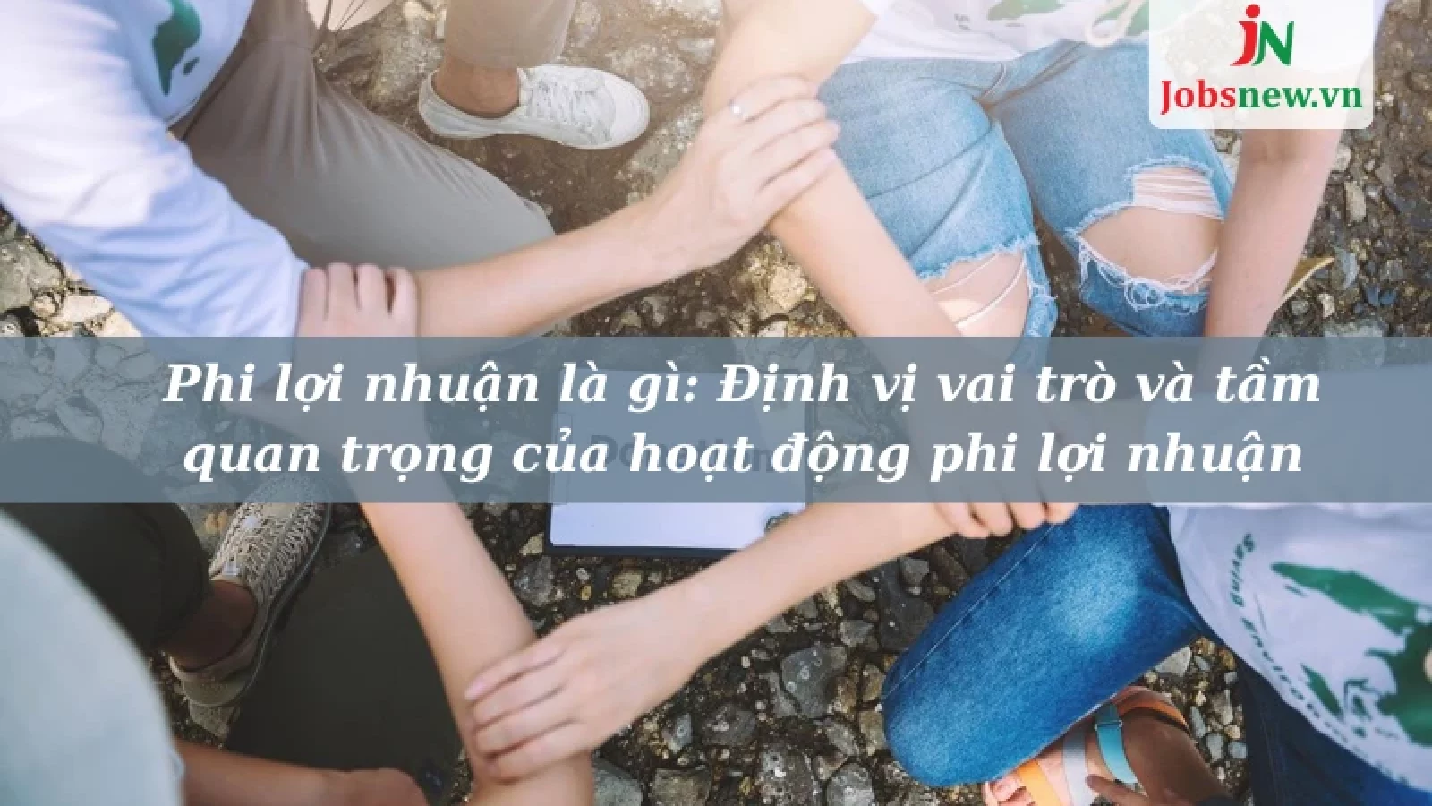 phi lợi nhuận là gì, phi lợi nhuận tiếng anh là gì, npo là gì, non profit là gì, tổ chức phi lợi nhuận có cần quản trị không