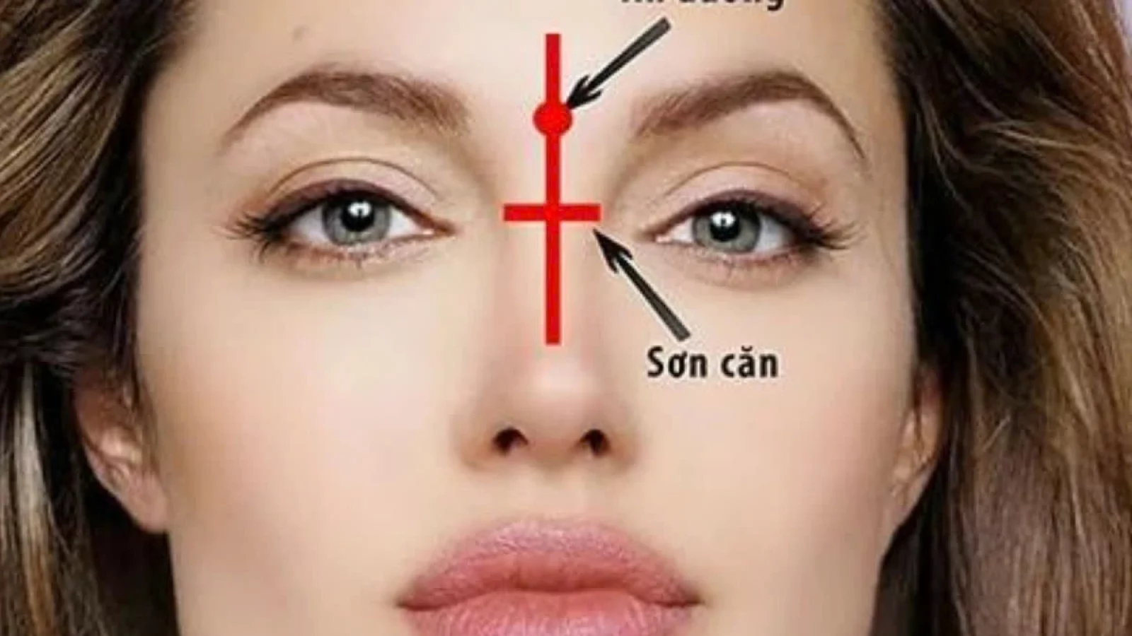 Sơn Căn Là Gì? Giải Mã Bí Ẩn 5 Điều Bí Mật (2024)