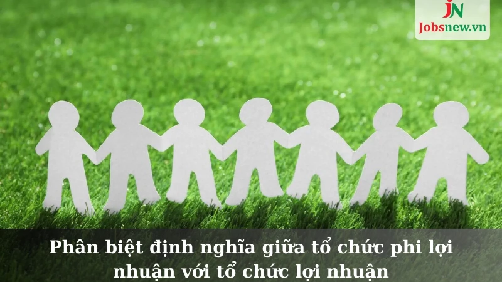 Tổ chức phi chính phủ là gì